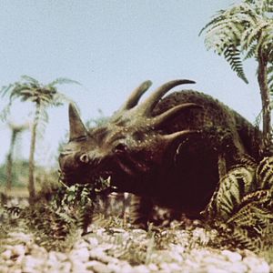 Bilder Reise in die Urwelt (West)/ Die Reise in die Urzeit (east)