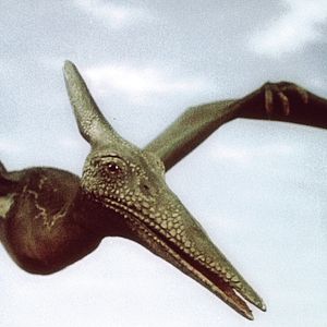 Bilder Reise in die Urwelt (West)/ Die Reise in die Urzeit (east)