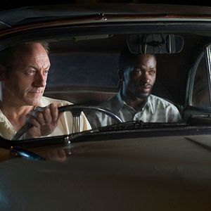 Bilder Black Butterflies