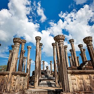 Bilder Im Reich der Affen