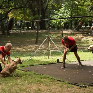 Bilder One Floor Below