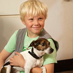 Bilder Rico, Oskar und das Herzgebreche