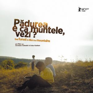 Bilder Der Wald ist wie die Berge