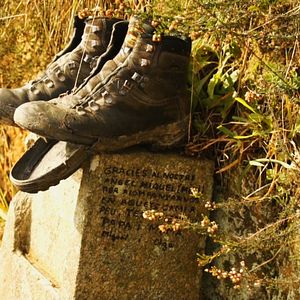 Bilder Camino de Santiago