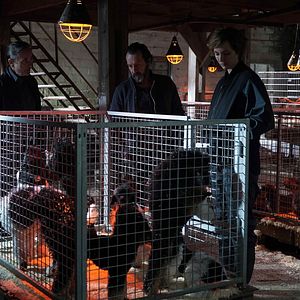 Bilder Je suis un soldat