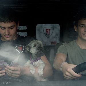 Bilder Antonio Bachiller