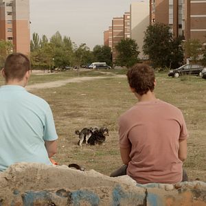 Bilder Antonio Bachiller