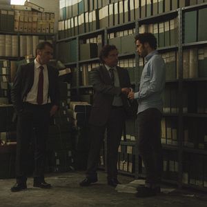 Bilder Sapos y culebras