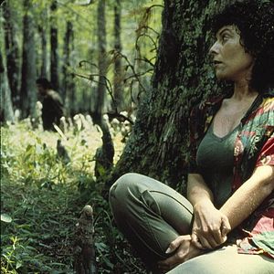 Bilder Das Ding aus dem Sumpf