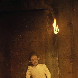 Bilder Das Ding aus dem Sumpf