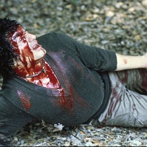 Bilder Das Ding aus dem Sumpf