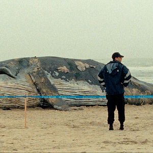 Bilder 1001 Nacht: Teil 1 - Der Ruhelose