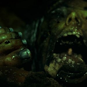 Bilder Charlie's Farm