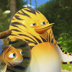 Bilder Die Dschungelhelden