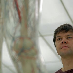 Bilder Das dunkle Gen