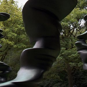 Bilder Das dunkle Gen