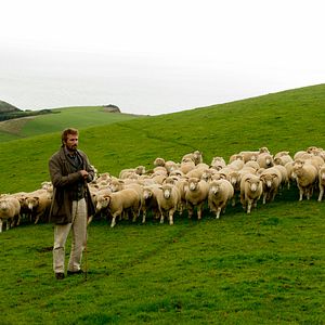 Bilder Matthias Schoenaerts