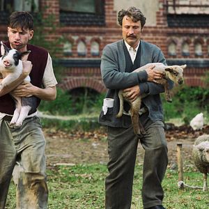 Bilder Mads Mikkelsen