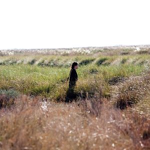 Bilder La Isla Mínima - Mörderland