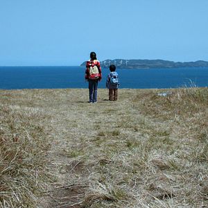 Bilder Joy of Man's Desiring