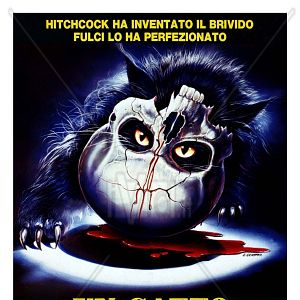 Bilder Eine Katze im Gehirn