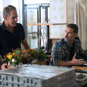 Bilder Murray Bartlett