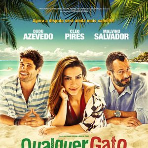 Bilder Qualquer Gato Vira-Lata 2