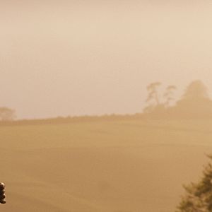 Bilder Matthias Schoenaerts