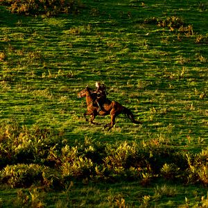 Bilder Carey Mulligan