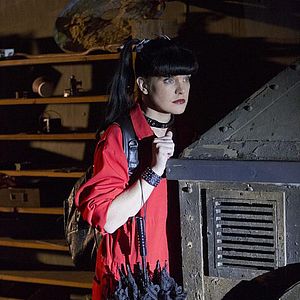 Bilder Pauley Perrette