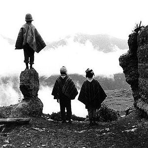 Bilder Blut des Condor