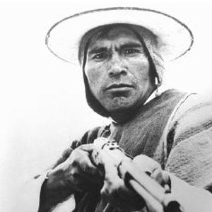 Bilder Blut des Condor