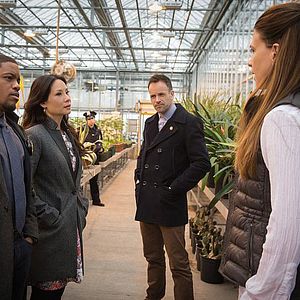 Bilder Jon Michael Hill