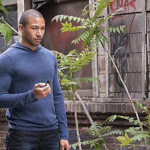 Bilder Charles Michael Davis