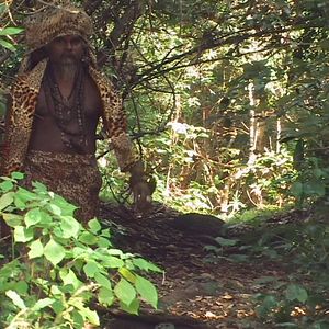 Bilder Wunder der Lebenskraft - Eine Reise zur Heilung der Seele