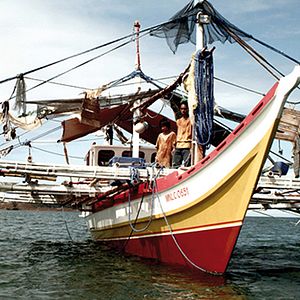 Bilder Zombie Island