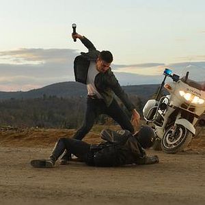 Bilder Wilde Hunde - Rabid Dogs