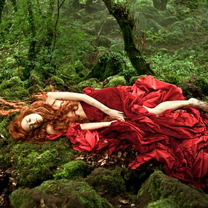 Bilder Das Märchen der Märchen