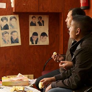 Bilder Ein Papagei im Eiscafé