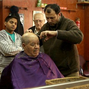 Bilder Ein Papagei im Eiscafé