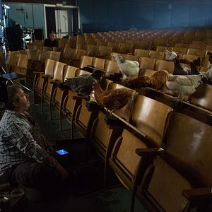 Bilder Das brandneue Testament