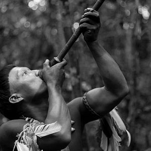 Bilder Der Schamane und die Schlange - Eine Reise auf dem Amazonas