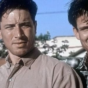 Bilder Late for Dinner - Eine zeitlose Liebe