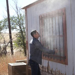 Bilder The Messengers