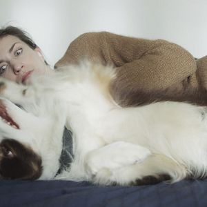 Bilder La Fin du dragon