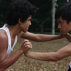 Bilder The Fox Exploits the Tiger's Might