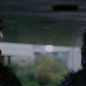 Bilder Jeunesse des loups-garous