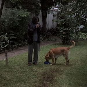 Bilder Jardim Europa