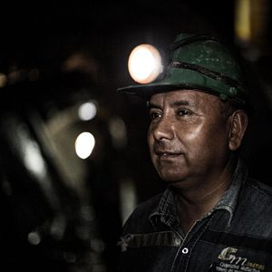 Bilder The Legend of the Palme d'Or