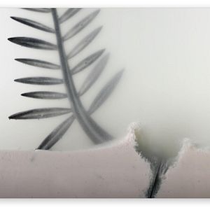 Bilder The Legend of the Palme d'Or